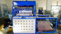 PLC Thermoforming Packaging Machine , Multiscene PET Forming Machine